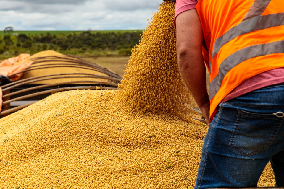 Com alta demanda por coprodutos, MT exportou mais de 3,3 milhes de soja entre janeiro e maio deste ano