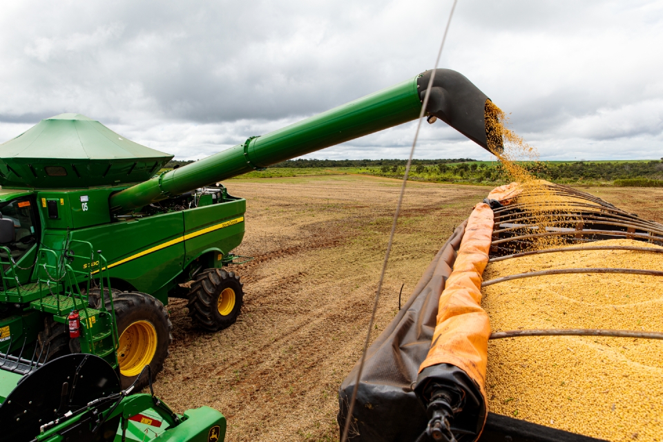 Produtor de soja vai precisar vender 55 sacas por hectare para cobrir custos de produo