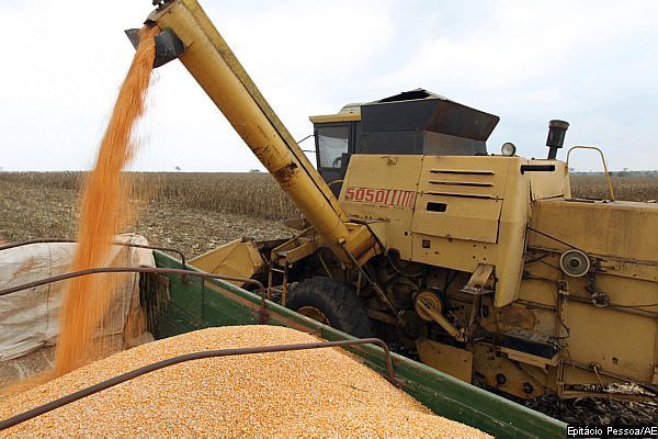 Bolsa de Buenos Aires reduz estimativa para produo da milho da Argentina