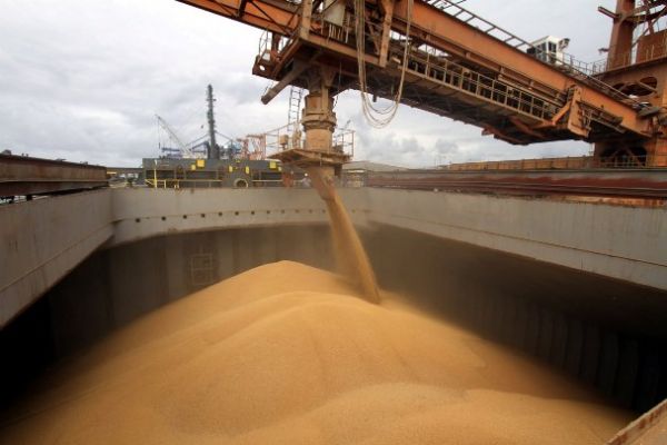 Farelo de soja aumenta no mercado interno e Mato Grosso diminuiu exportao