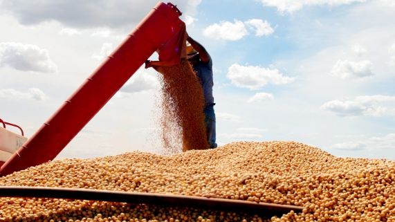 Colheita da soja gera cerca de duas mil vagas de trabalho no Estado
