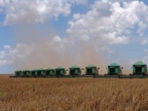 Agricultura empresarial capta R$117 bilhes em financiamentos na safra