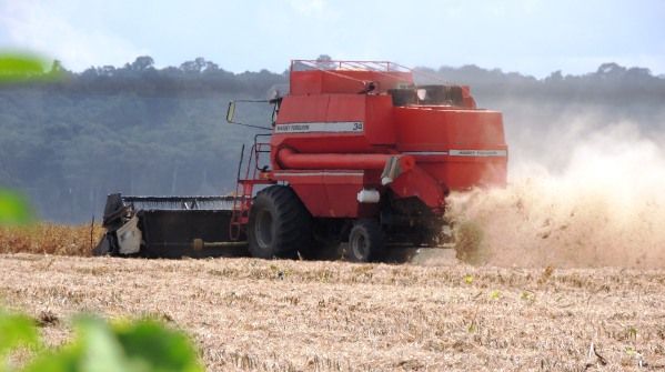 Agricultores aproveitaram o perodo do carnaval para colher soja na regio Norte do Estado