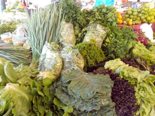 Pesquisa feita pelo Agro Olhar revela que verduras so mais baratos no Mercado do Porto que nos supermercados