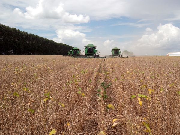 Produo de gros recua 2,98% em Mato Grosso, aps Conab revisar soja e milho