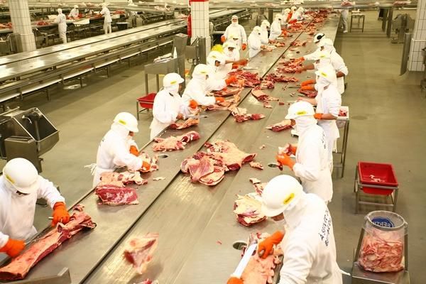 Frigorfico de Mato Grosso volta a exportar carne bovina para Rssia