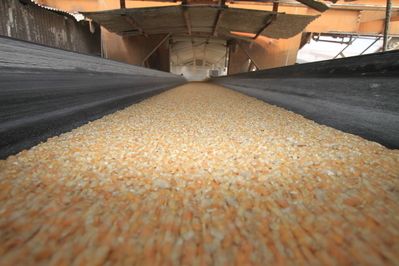 No total, Mato Grosso j enviou ao exterior 4.981 milhes de toneladas de milho nos primeiros sete meses de 2013