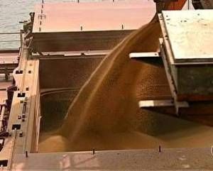 Exportao de soja cai 16,5% em maro, informam dados da Secex