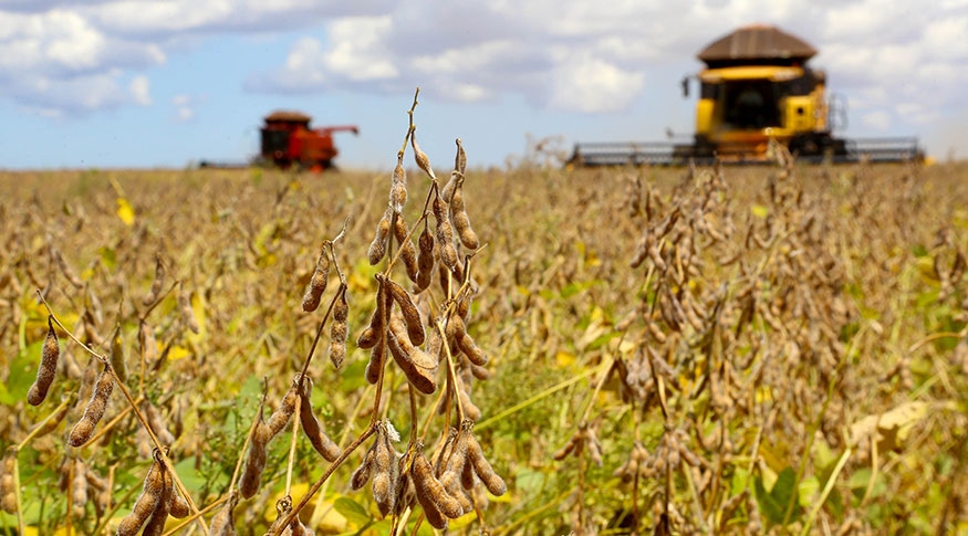 Sorriso lidera e outras cinco cidades de MT integram ranking com maiores valores de produo agrcola