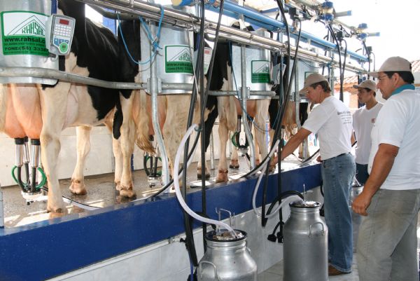 Falta de assistncia tcnica  um dos graves problemas presentes na cadeia do leite