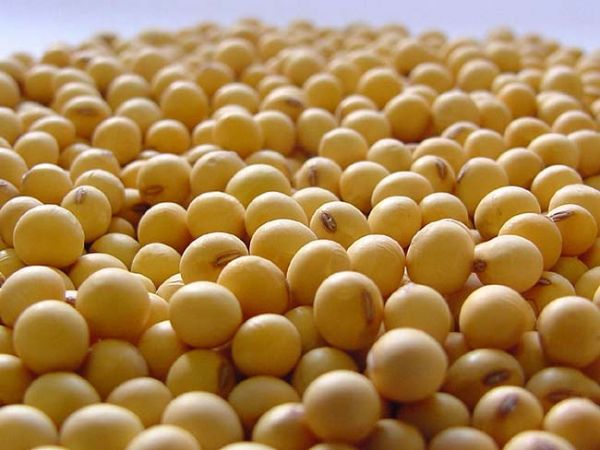 Safra 2012/2013 de soja foi 83% comercializada e registra atraso nas vendas