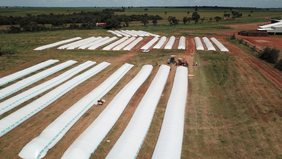 Uso de silos bolsa  alternativa para produtores rurais armazenarem gros, diz diretor da Aprosoja-MT