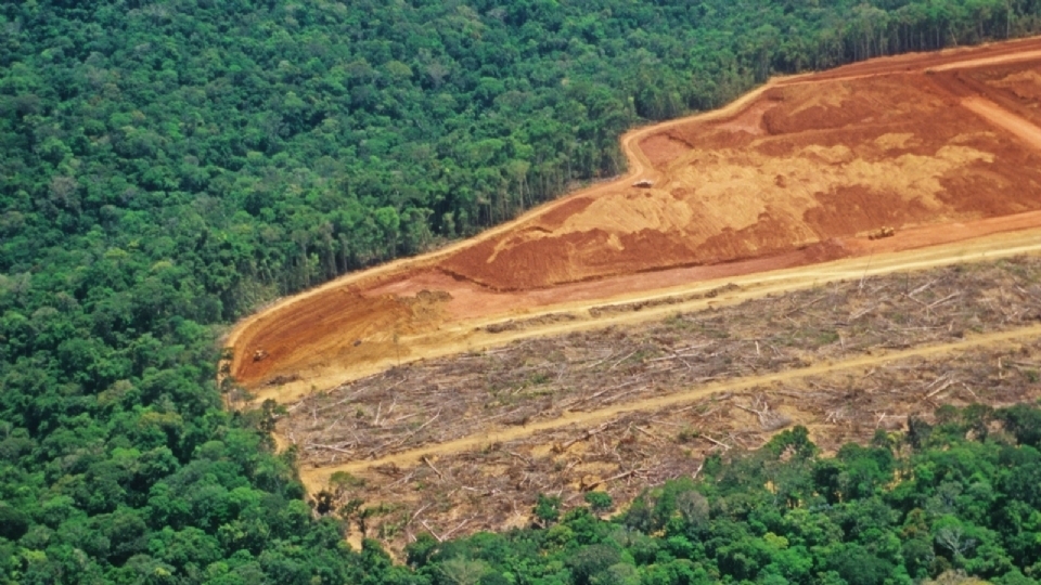 MT receber recursos de combate ao desmatamento na Amaznia Legal; 96% do desflorestamento tem relao com agropecuria