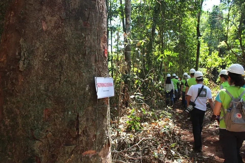 Mato Grosso promove evento sobre gesto florestal em Alta Floresta