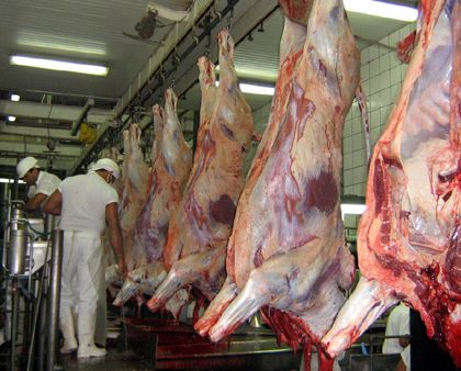 Abate de bovinos registra recorde histrico no trimestre e Mato Grosso lidera ranking