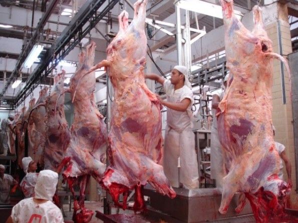 Demanda aquecida por carne bovina mantm preos elevados em Mato Grosso na ltima semana de 2013