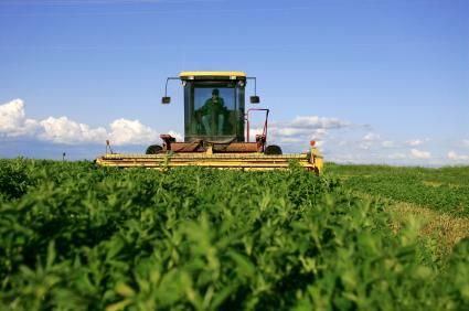 Governo anuncia investimentos de mais de R$ 39 bilhes para a agricultura familiar