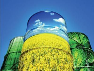 Governo federal estabelece novo modelo para estoque de biodiesel no pas
