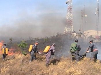 Ibama autoriza contratao de brigadistas para combater incndios florestais em MT