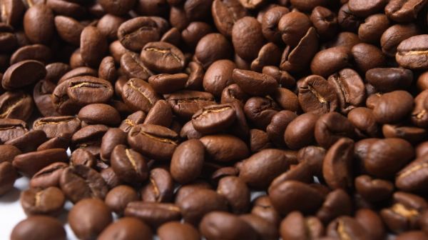 Safras do Vietn e Colmbia tambm pressionam mercado cafeicultor