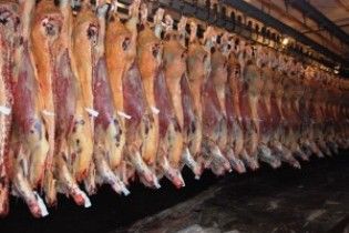 China precisa comprar mais carne bovina e pode derrubar barreiras ao Brasil