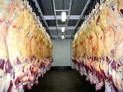Egito vem ao Brasil para vistoriar abatedouros de bovinos em Mato Grosso e outros estados