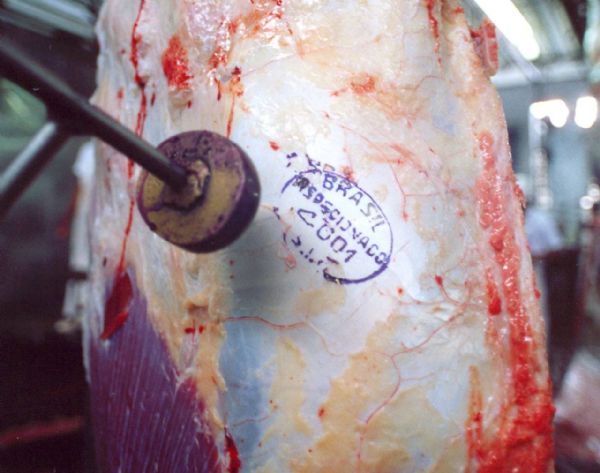 Exportaes de carne bovina mato-grossense crescem 27% durante 2013