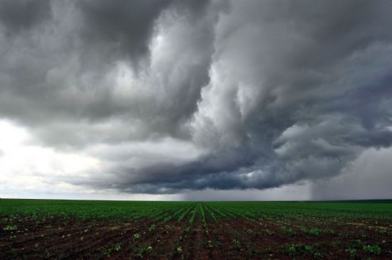 Semana ser de chuva em MT, o que poder ajudar no avano do plantio da soja