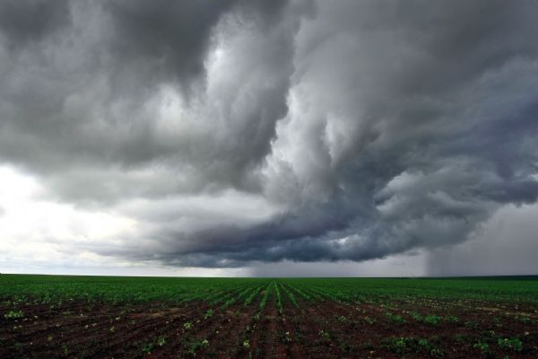 Chuva no Sul e Centro-Sul de MT anima produtores e cria boas expectativas para plantio de soja