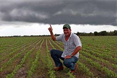 Chuva paralisa colheita da soja na regio oeste de Mato Grosso