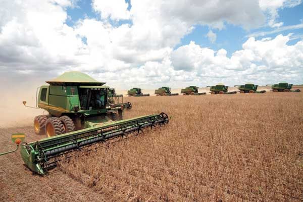 Soja e milho do a Mato Grosso a liderana nacional na produo de gros