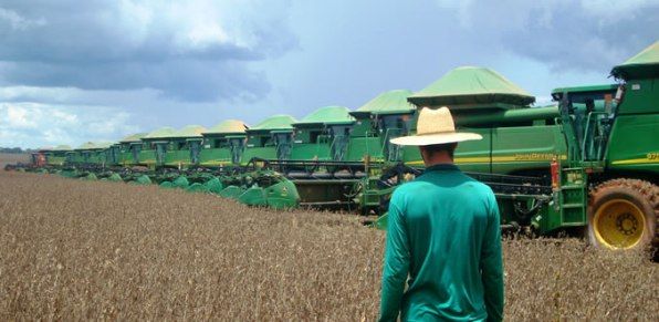 Incio de colheita mostra que produtividade mdia por hectare est acima do esperado em Mato Grossor