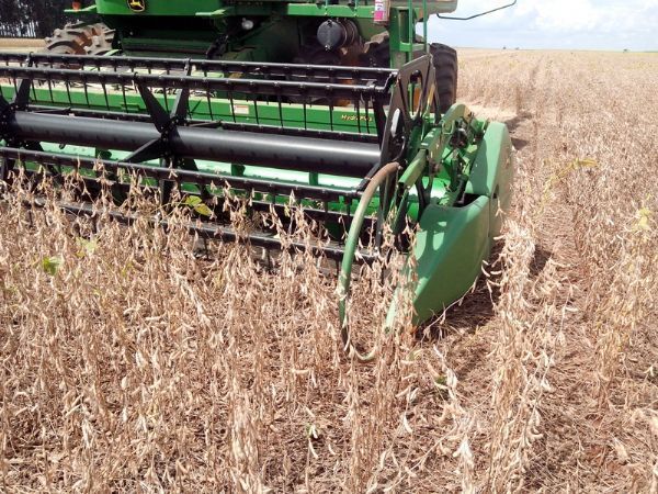Produo de gros em Mato Grosso aumenta 8,2% na safra 14/15; entre soja e milho so 48 mi/t