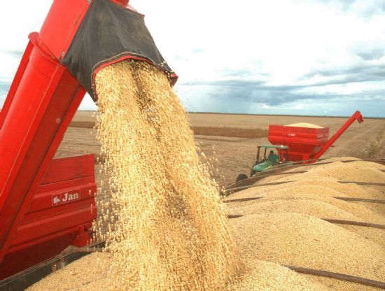 Abiove projeta queda de 9,23% no estoque final de soja no Brasil