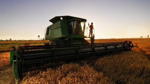 Colheita de soja avana e chega a 5,8% em Mato Grosso; regio Oeste  a mais adiantada
