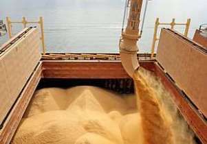 Brasil deve responder por 44% das exportaes mundiais de soja