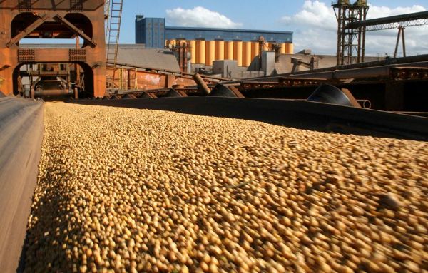 China  responsvel por 64,8% da soja em gro exportada por MT