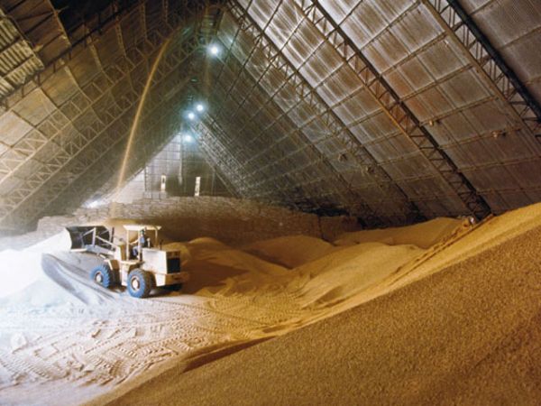O setor deve esmagar 37,5 milhes de toneladas de soja