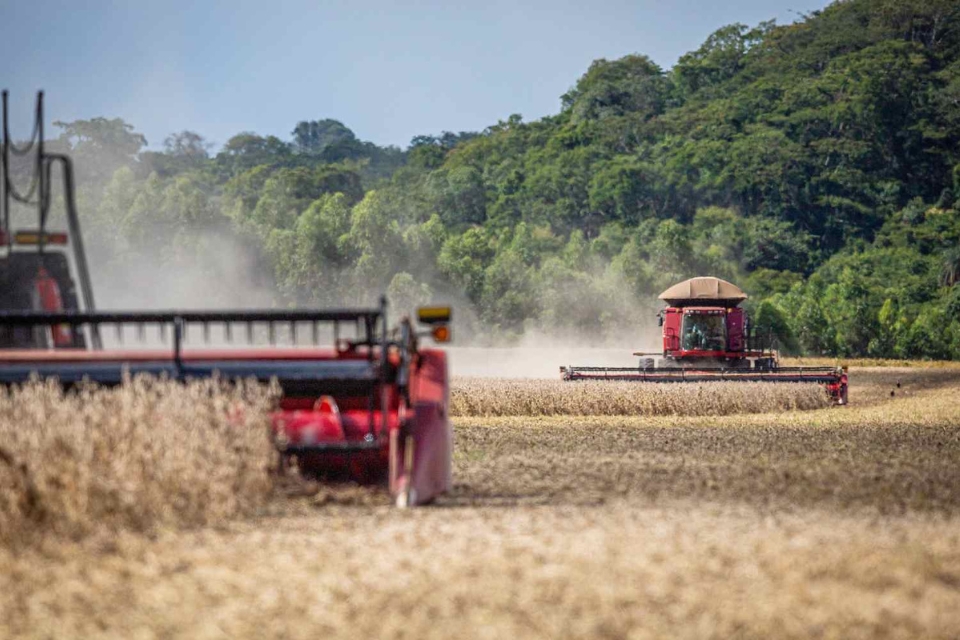 Aps carta de Fvaro e presso do Brasil, Unio Europeia adia aplicao da Lei Antidesmatamento que ameaava agronegcio