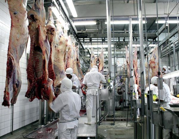 Frigorfico de Paranatinga deve ser habilitado para exportar carne para os EUA nos prximos dias