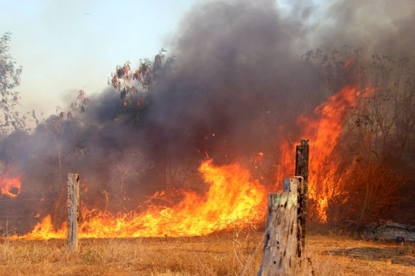 60% do fogo tm origem nas margens de vias federais, estaduais e vicinais, aponta professor