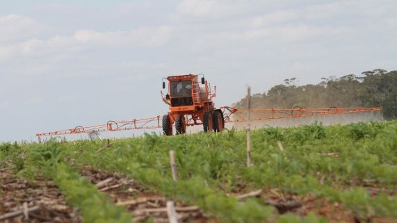 Plantio da soja chega a 1,7% da rea; Avano semanal foi de 1,4 p.p