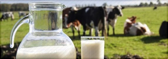 Preo do leite ao consumidor entra em estabilidade; Ante 2013 h queda de 2,29%