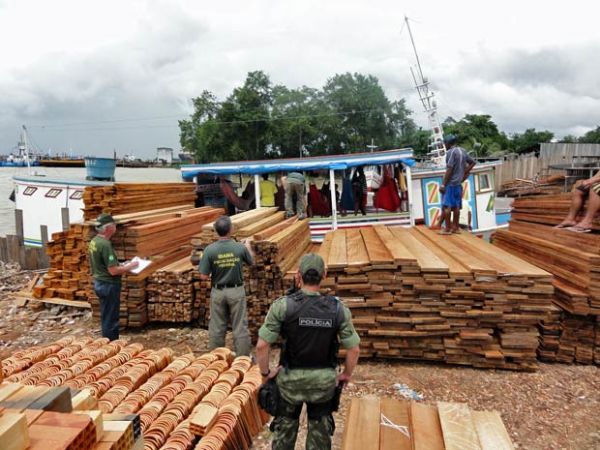 Doao de madeira ilegal para entidades privadas e pblicas  aprovada por Comisso de Meio Ambiente