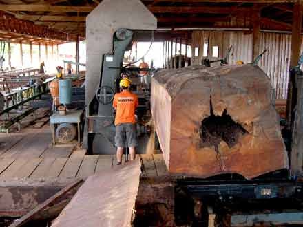 Empresrios do setor madeireiro se recusam a conceder aumento acima do negociado