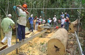 Governo publica Lei Complementar que adiciona dispositivos referentes a licenas florestais; confira