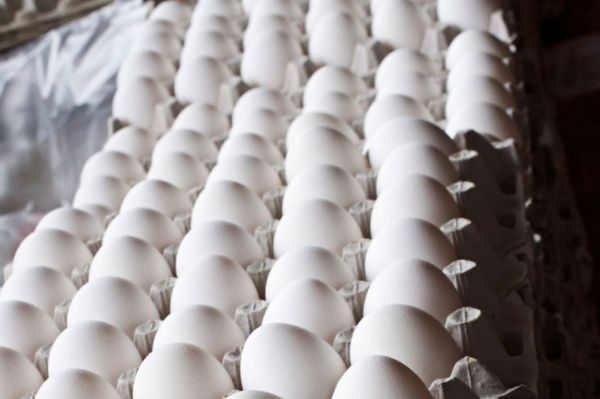 Pelo terceiro ms consecutivo o ovo tem queda nos preos; causas pode ter sido a Copa do Mundo