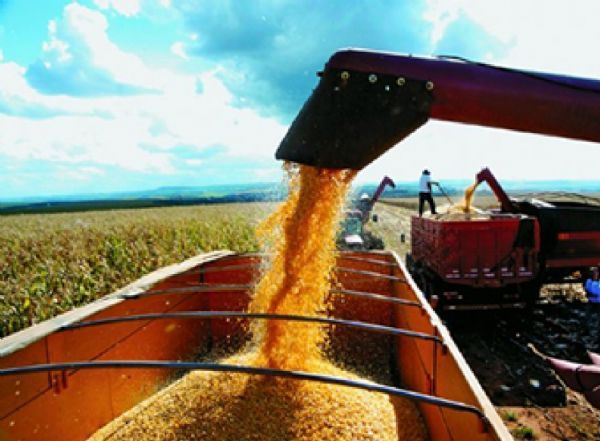 Milho ser escoado da regio Norte de Mato Grosso para os estados atendidos pela Sudene