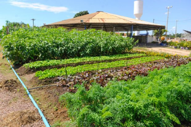 Prefeitura de Sinop levar para a Exponop mini fazenda voltada para agricultura familiar