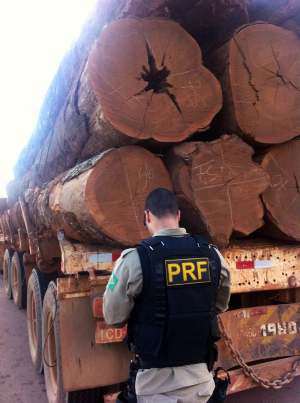 Vinte pessoas so presas e mil toneladas de madeira ilegal  apreendida em operao